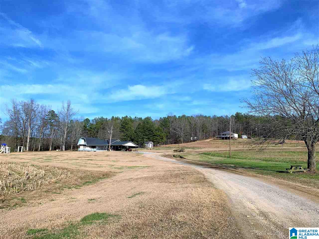 1141 County Road 482 Heflin, AL 36264 - Photo 9 of 44