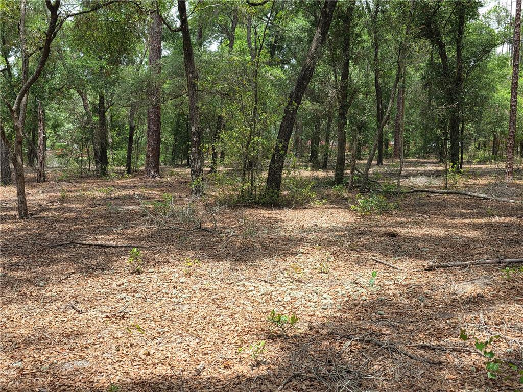 Rolling Ares Road West Lady Lake, FL 32159 - Photo 30 of 48 Gallery Image 30