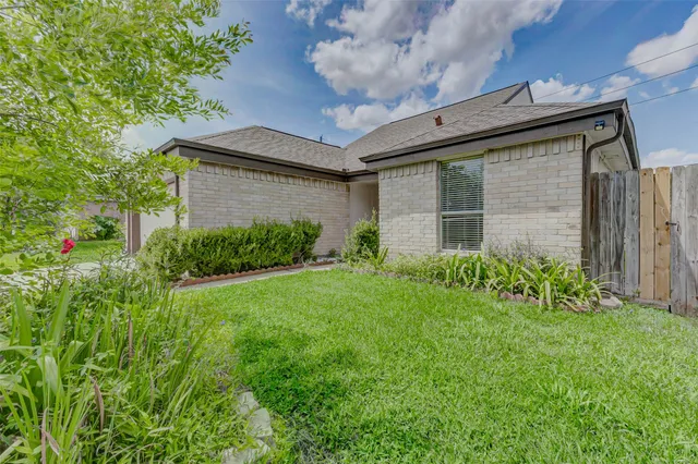 a view of a backyard with plants