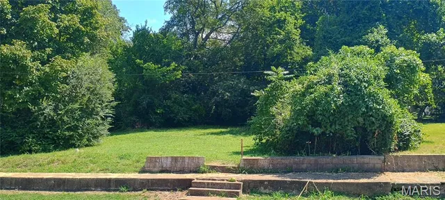 $15,000 | 0 Vine Street, Doniphan, MO 63935