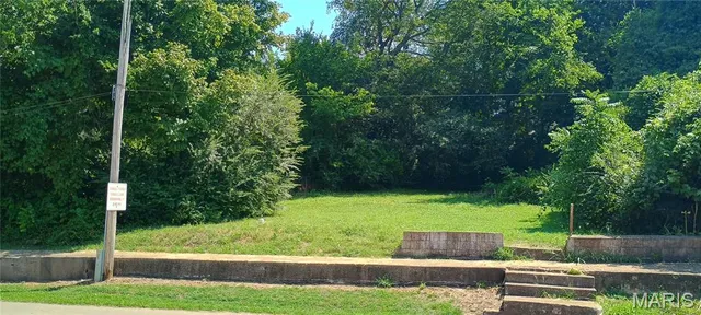 $15,000 | 0 Vine Street, Doniphan, MO 63935