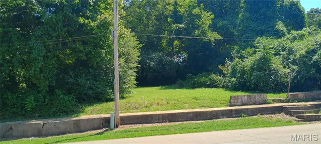 $15,000 | 0 Vine Street, Doniphan, MO 63935