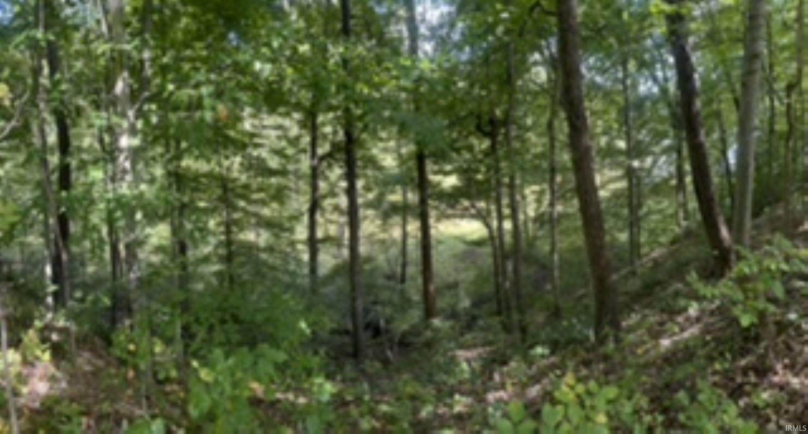 3523 East Beechwood Lake Road Bloomfield, IN 47424 - Photo 10 of 33