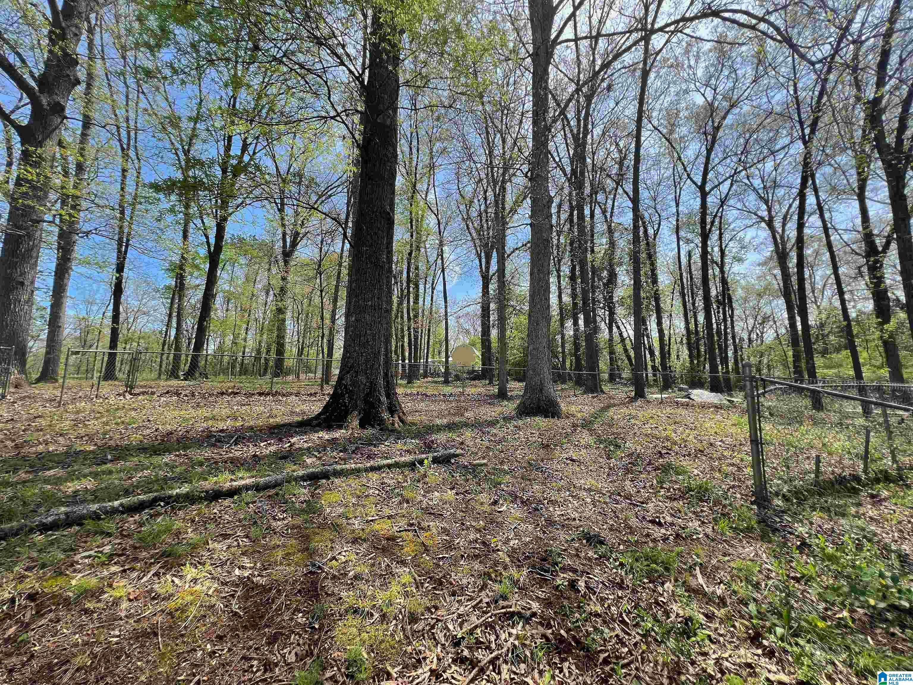 1444 Beck Road Eastaboga, AL 36260 - Photo 21 of 23