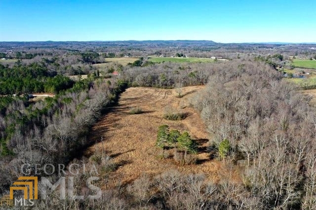 0 Brickyard Road Bowdon, GA 30108 - Photo 1 of 1
