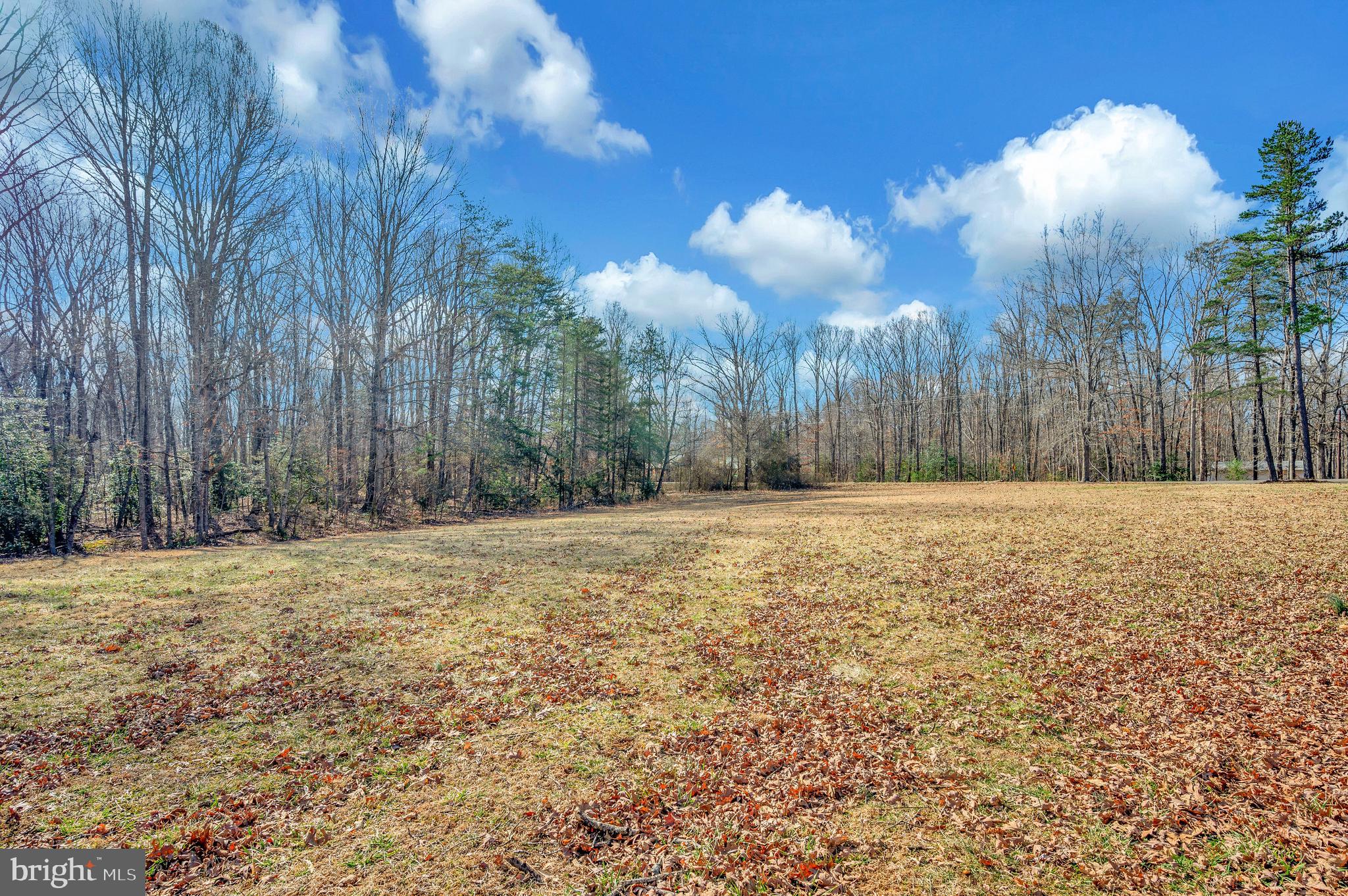 8099 Burr Hill Road Rhoadesville, VA 22542 - Photo 81 of 87 Gallery Image 81