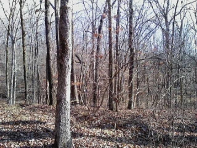 4 Cuba Landing Road Waverly, TN 37185 - Photo 1 of 4 Gentle slope from the road with 282' of road frontage.