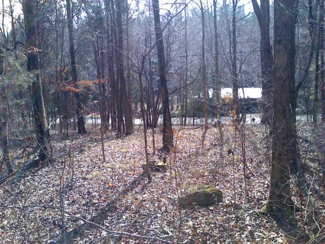 4 Cuba Landing Road Waverly, TN 37185 - Photo 3 of 4 View looking out toward road from interior. About 4 acres of timber on these 2 lots.