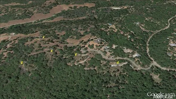 a view of a forest