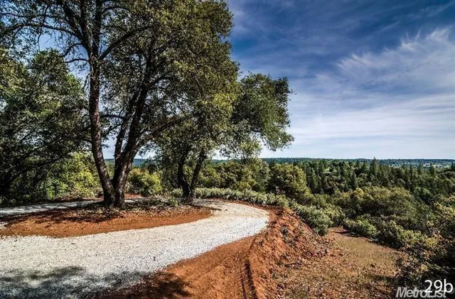 a view of outdoor space with yard