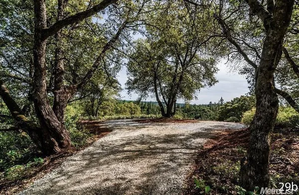 a view of dirt yard with a large tree