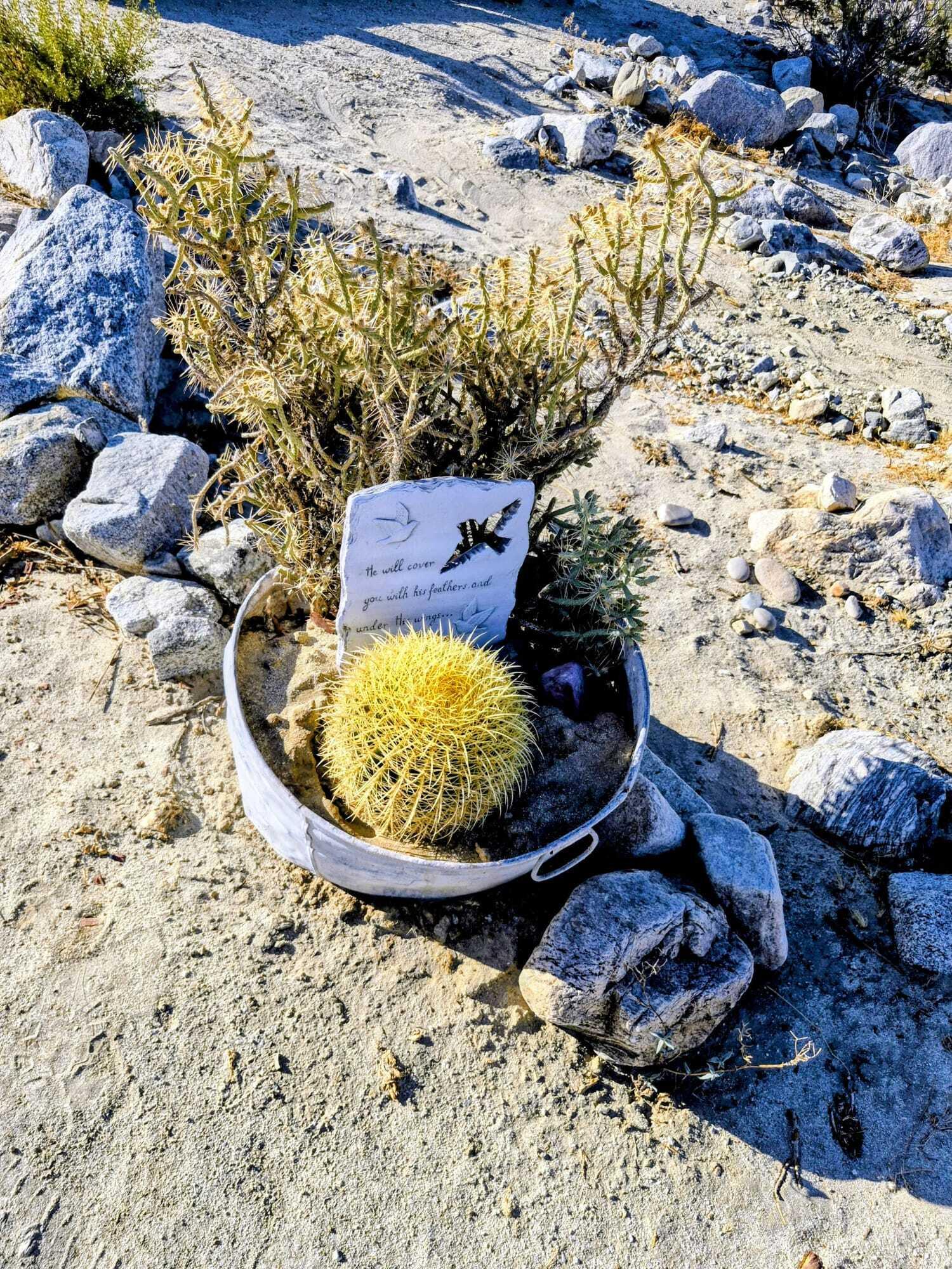 1 Dillon Road Desert Hot Springs, CA 92241 - Photo 59 of 60 0583