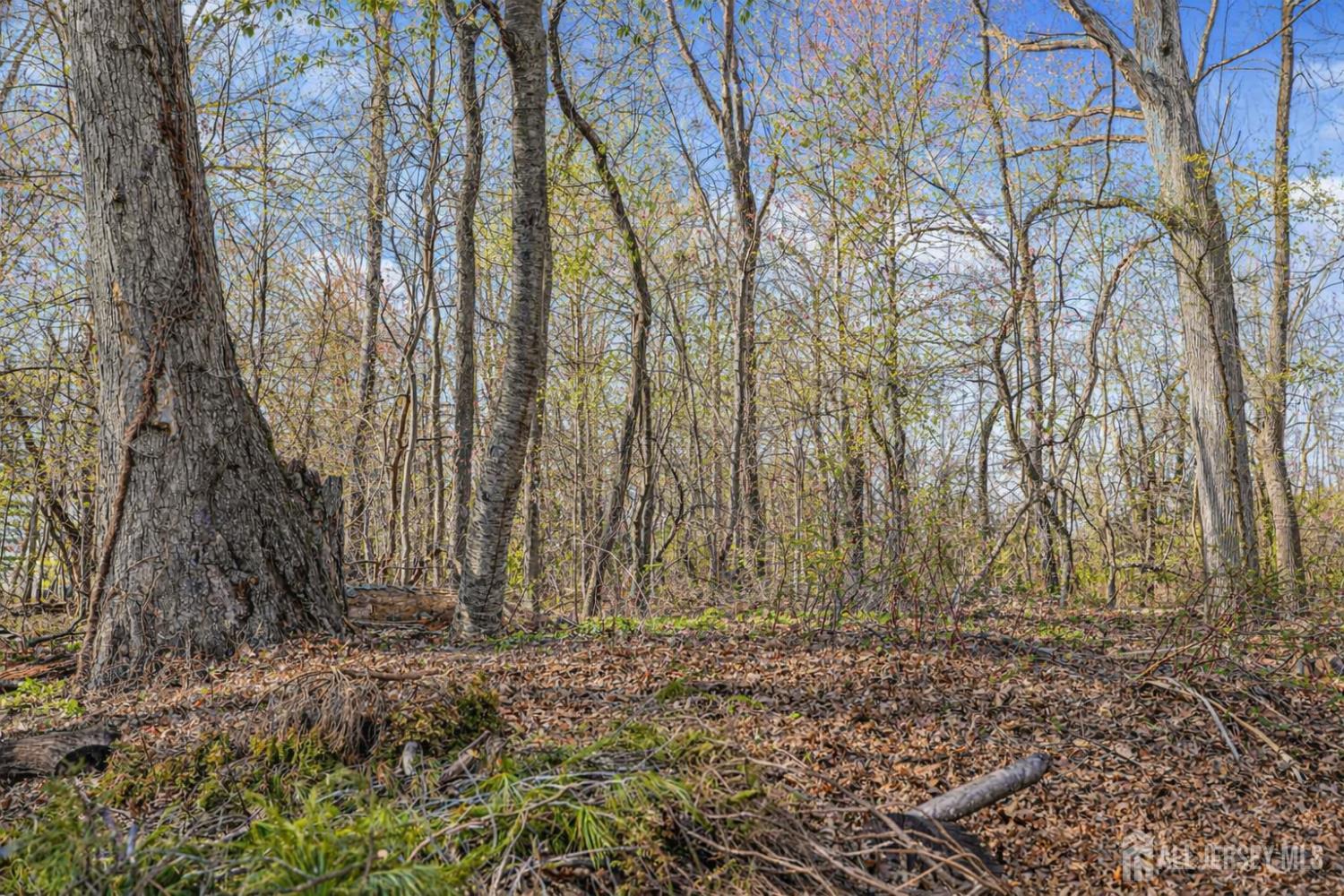 22 Meyer Road Edison, NJ 08817 - Photo 39 of 39