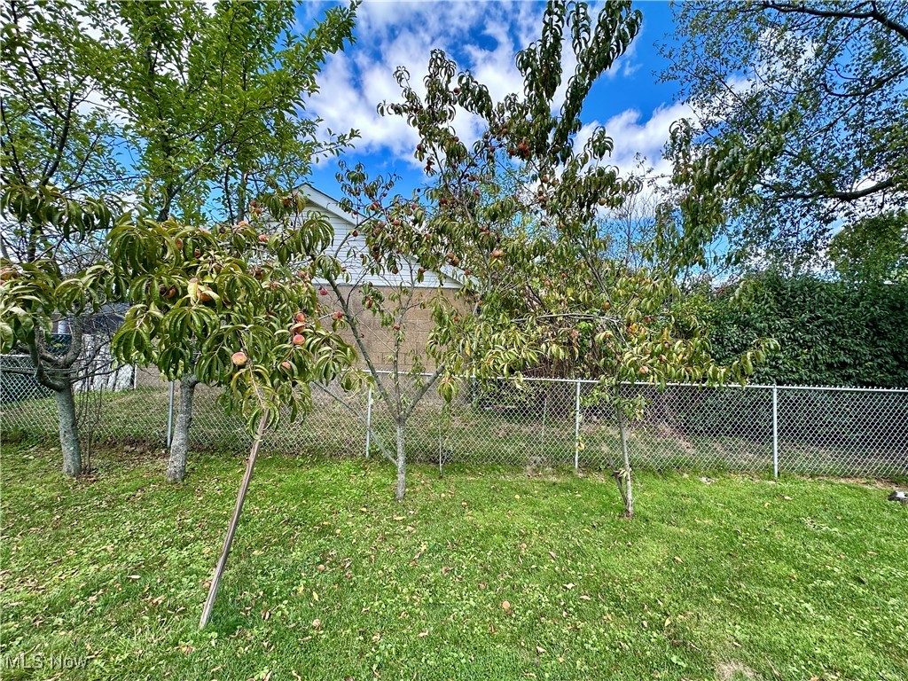 343 Raleigh Avenue Weirton, WV 26062 - Photo 43 of 46 View of yard
