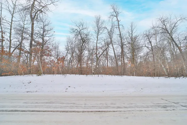 $49,900 | Tbd Tbd Weaver Point Road, Breezy Point, MN 56472