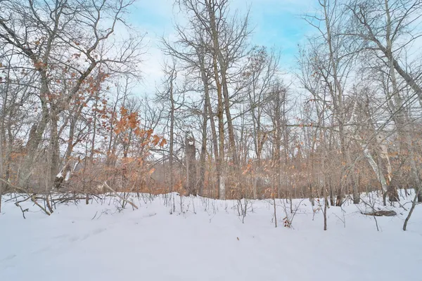 $49,900 | Tbd Tbd Weaver Point Road, Breezy Point, MN 56472