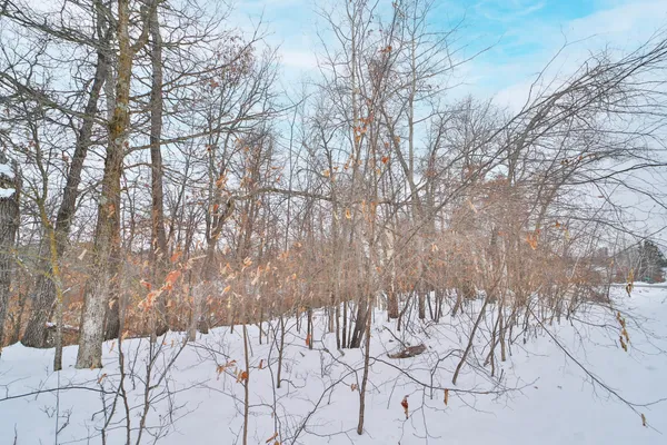 $49,900 | Tbd Tbd Weaver Point Road, Breezy Point, MN 56472