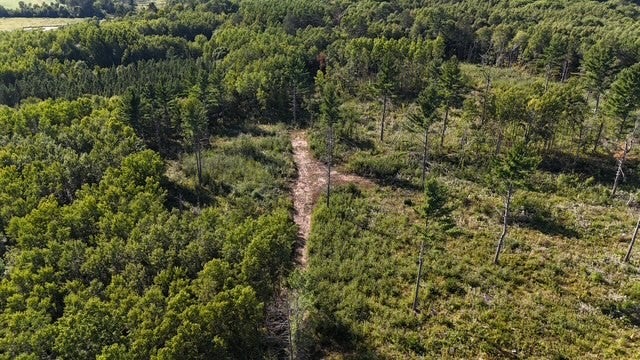 0 Mack Lake Road Trego, WI 54888 - Photo 22 of 26 Gallery Image 22
