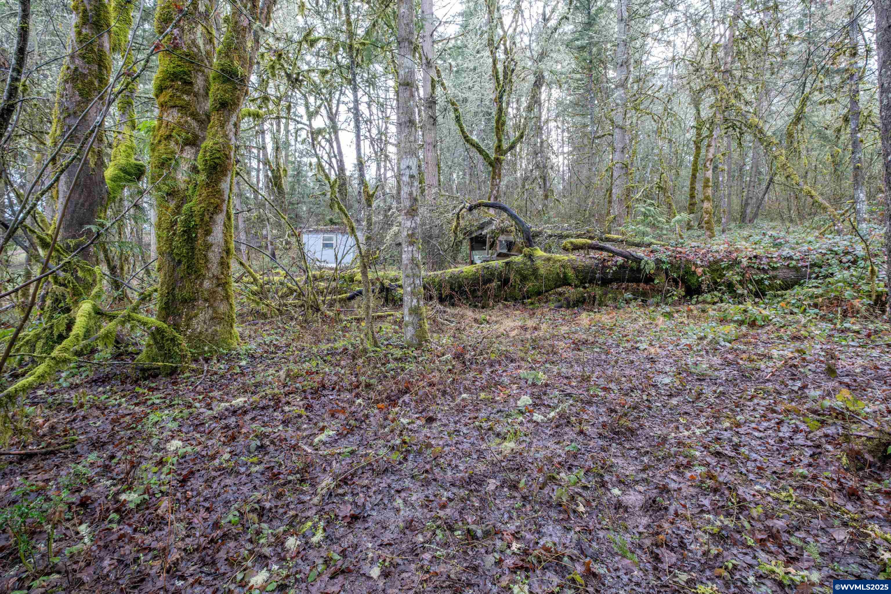 Pineway (lot 2200) Road Lebanon, OR 97355 - Photo 16 of 17 Gallery Image 16
