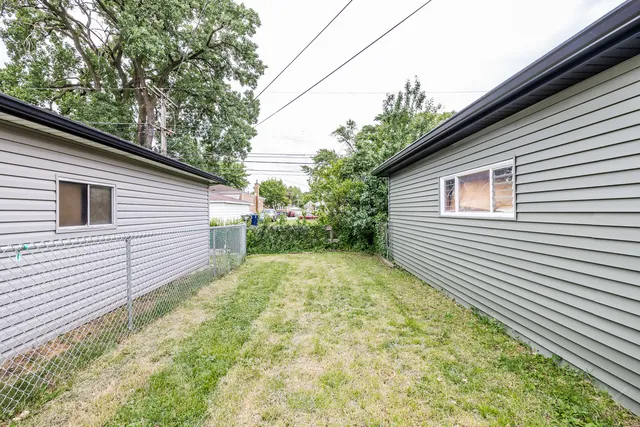 a view of a backyard with plants and large tree