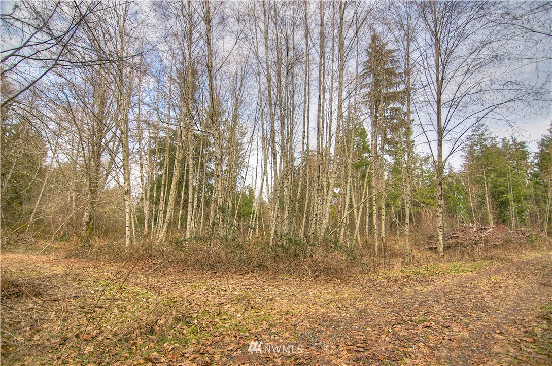 7615 Rainier Road Southeast Olympia, WA 98513 - Photo 11 of 17 Gallery Image 11