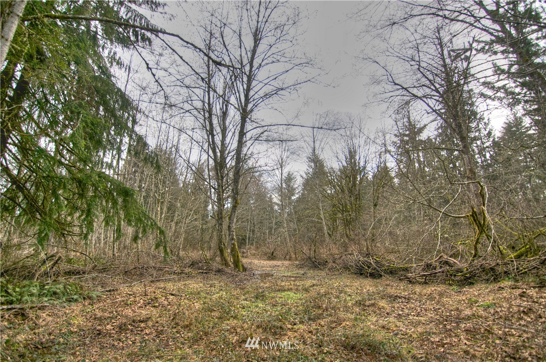 7615 Rainier Road Southeast Olympia, WA 98513 - Photo 12 of 17 Gallery Image 12