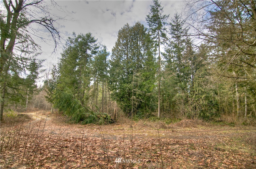 7615 Rainier Road Southeast Olympia, WA 98513 - Photo 14 of 17 Gallery Image 14
