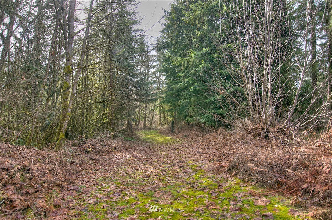 7615 Rainier Road Southeast Olympia, WA 98513 - Photo 15 of 17 Gallery Image 15