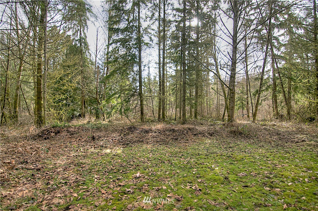 7615 Rainier Road Southeast Olympia, WA 98513 - Photo 16 of 17 Gallery Image 16
