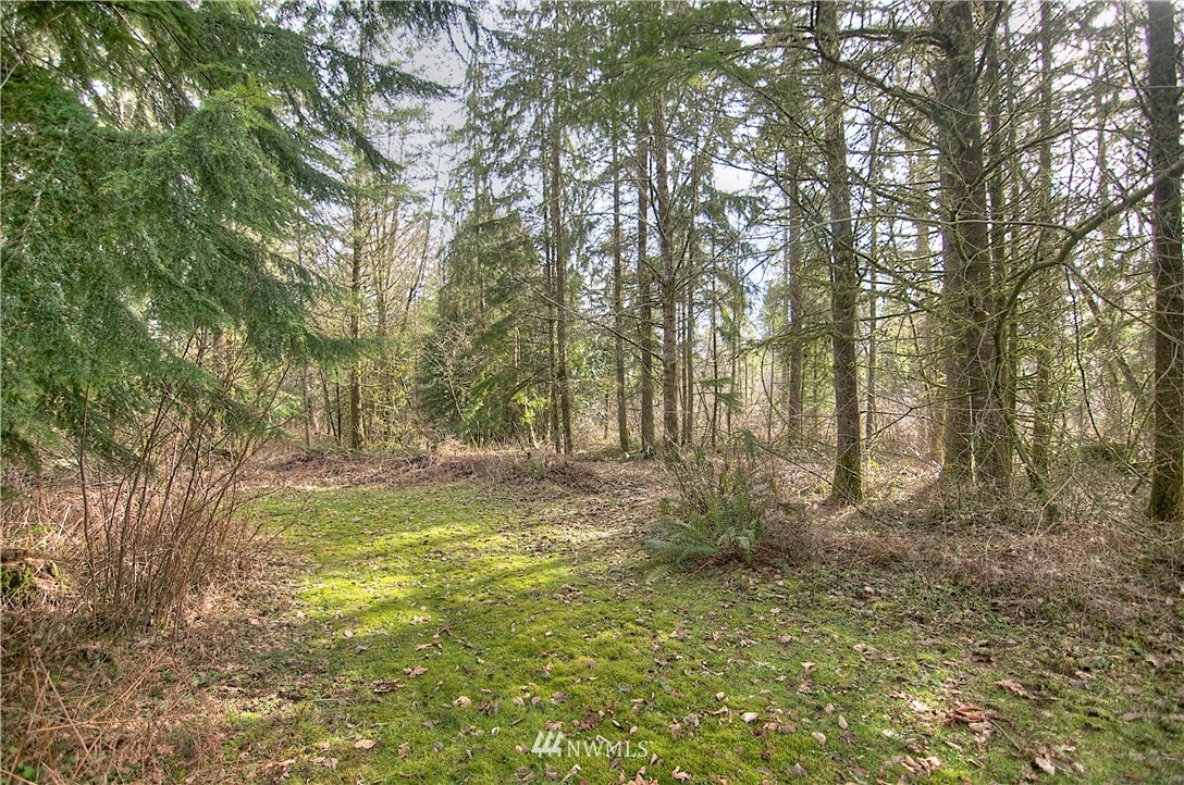 7615 Rainier Road Southeast Olympia, WA 98513 - Photo 17 of 17 Gallery Image 17