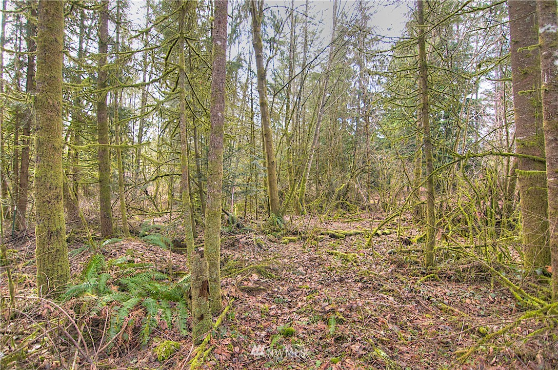 7615 Rainier Road Southeast Olympia, WA 98513 - Photo 4 of 17 Gallery Image 4