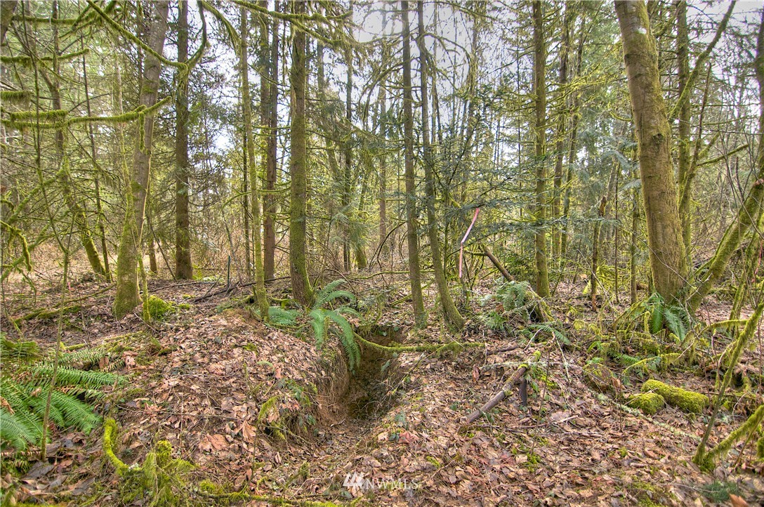 7615 Rainier Road Southeast Olympia, WA 98513 - Photo 5 of 17 Gallery Image 5