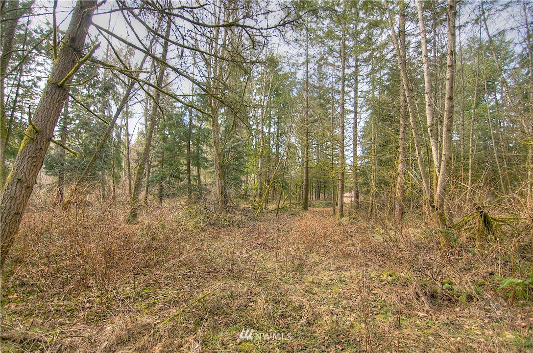 7615 Rainier Road Southeast Olympia, WA 98513 - Photo 6 of 17 Gallery Image 6