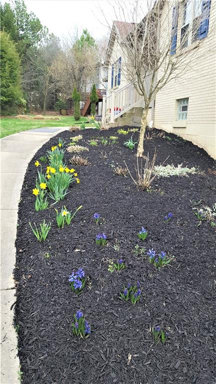 Fresh mulch was laid as the flowers are starting to arrive