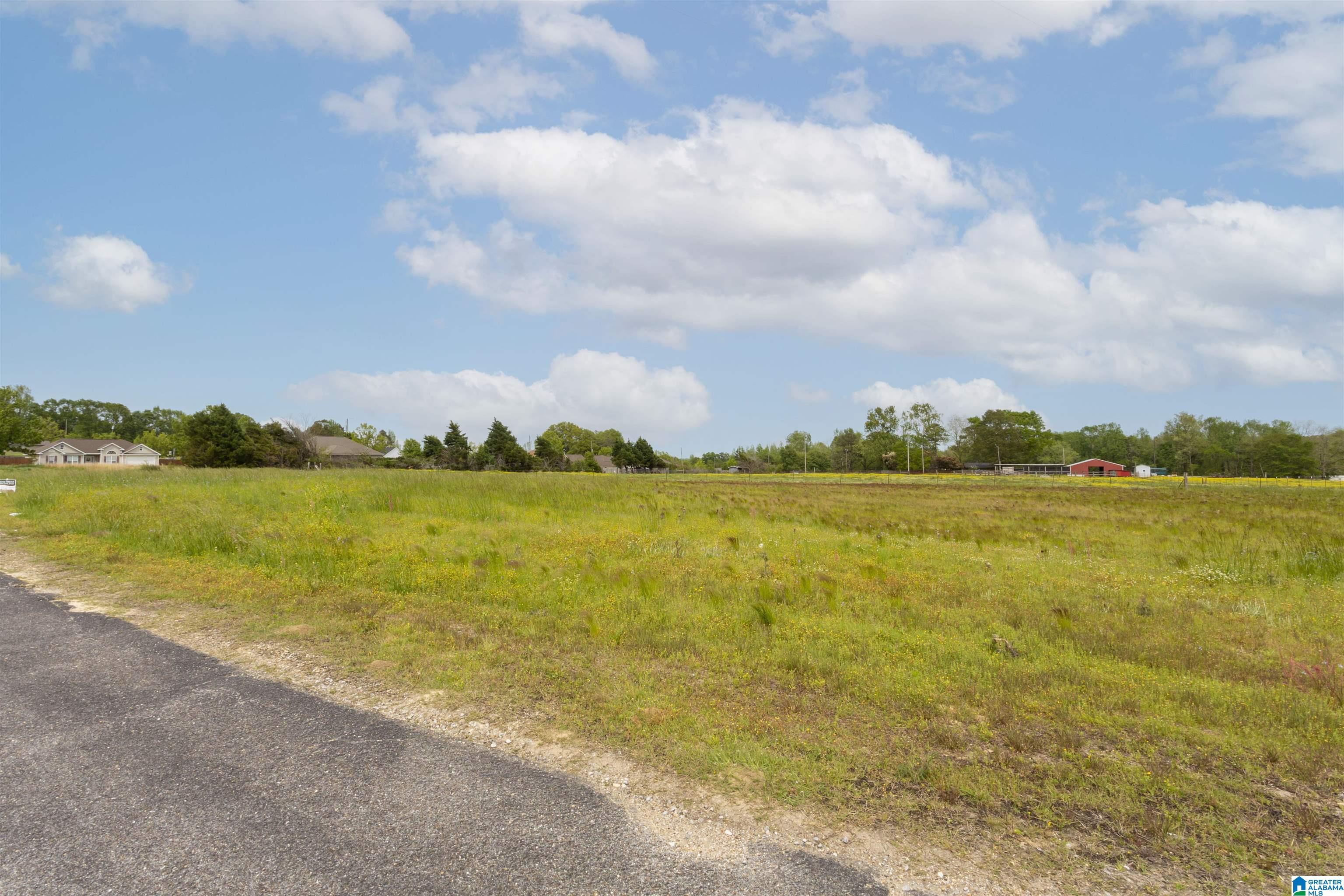 797 County Road Clanton, AL 35045 - Photo 43 of 44