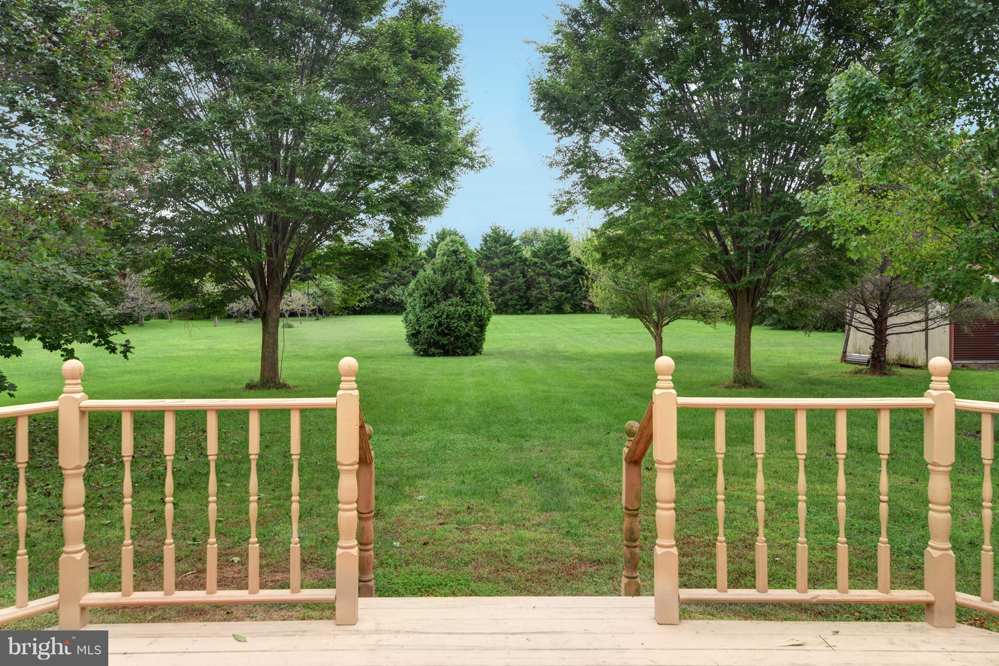 12821 Chesterville Road Galena, MD 21635 - Photo 12 of 29 Exterior (Rear)