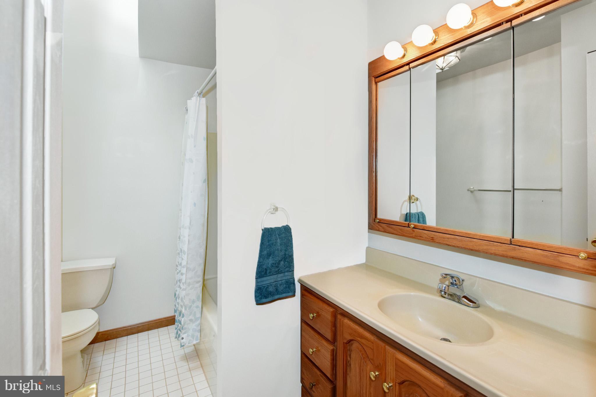 12821 Chesterville Road Galena, MD 21635 - Photo 17 of 29 Bath