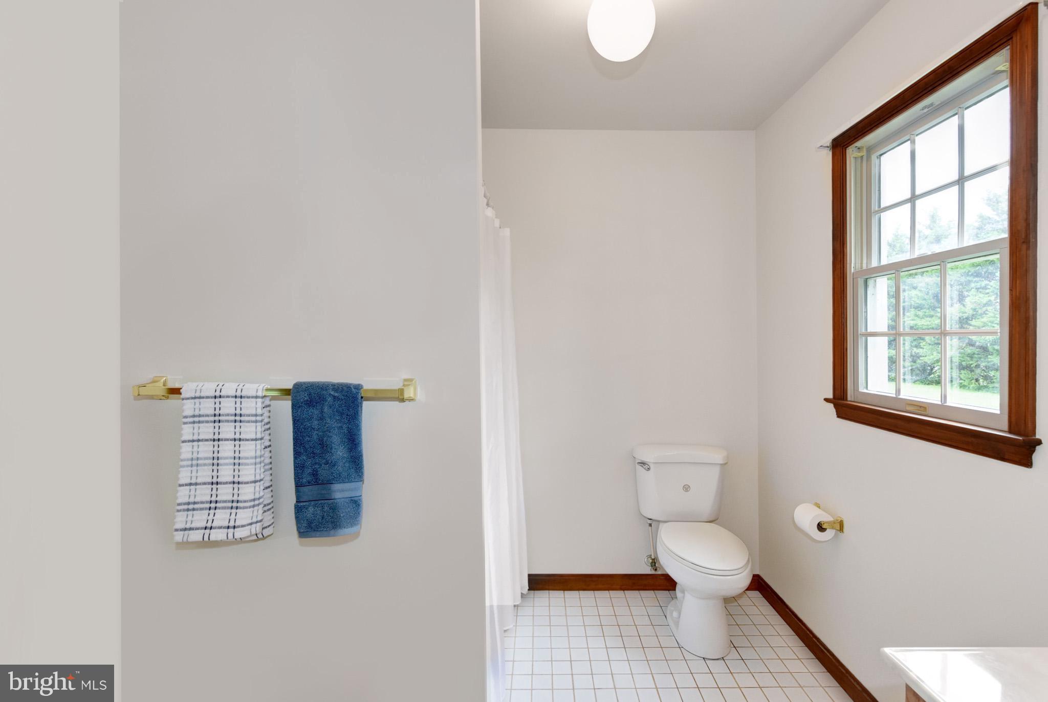 12821 Chesterville Road Galena, MD 21635 - Photo 22 of 29 Bath