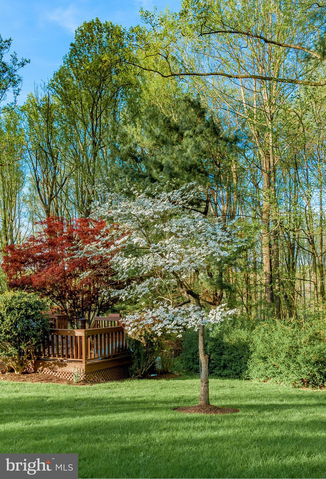 45 Bryants Nursery Road Silver Spring, MD 20905 - Photo 25 of 30 View