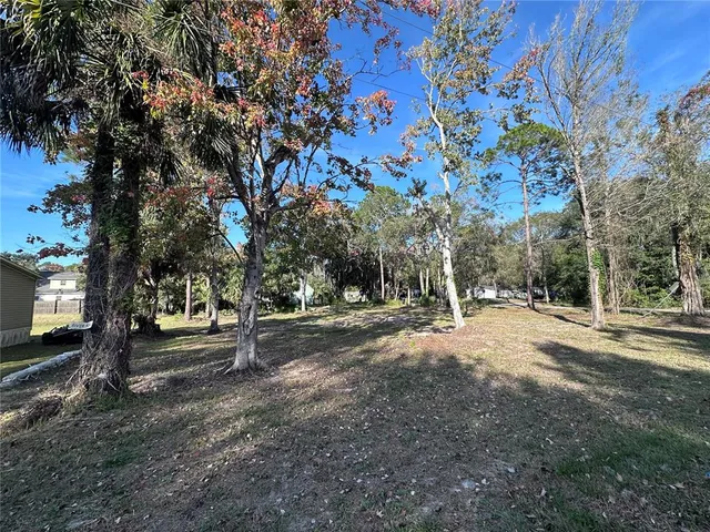 a view of a tree in front of a house
