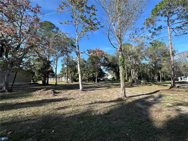 a view of a road with trees