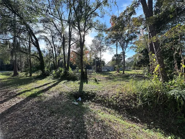 a view of backyard with green space