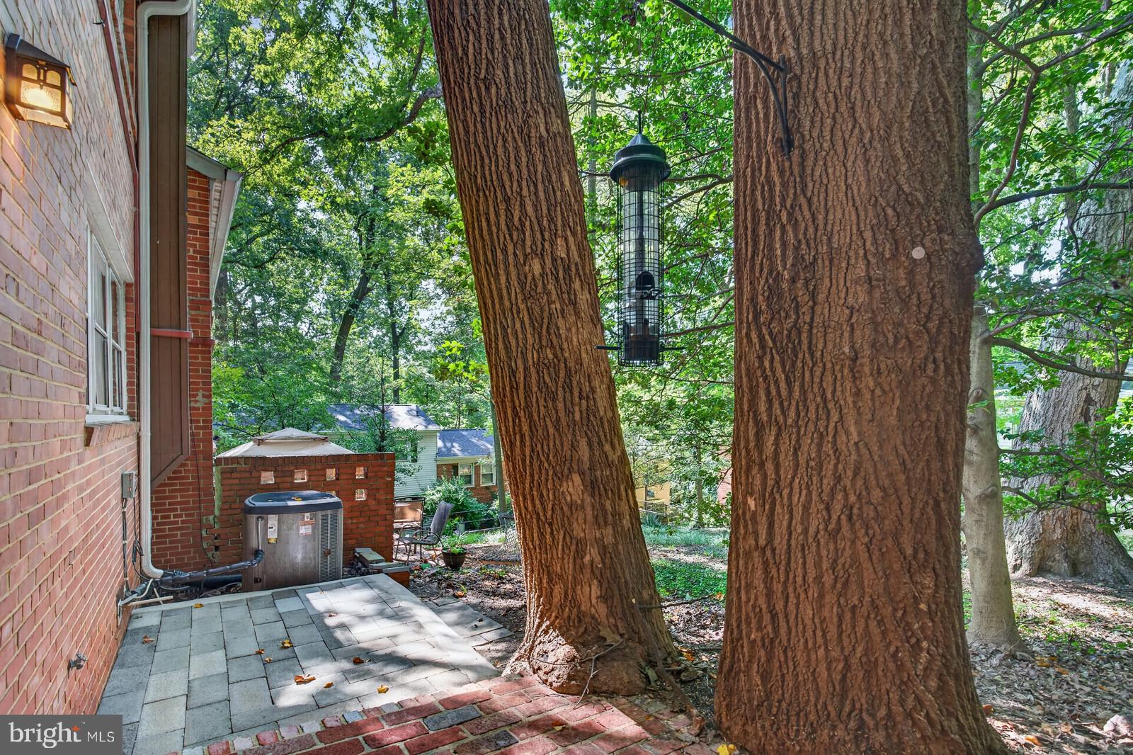 8502 Geren Road, Unit 19 Silver Spring, MD 20901 - Photo 34 of 48 Gallery Image 34