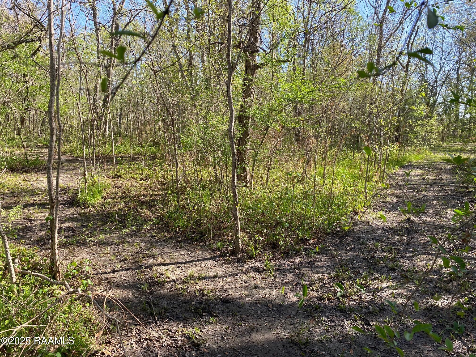 1202 Van Brocklin Road New Iberia, LA 70563 - Photo 3 of 5 image1