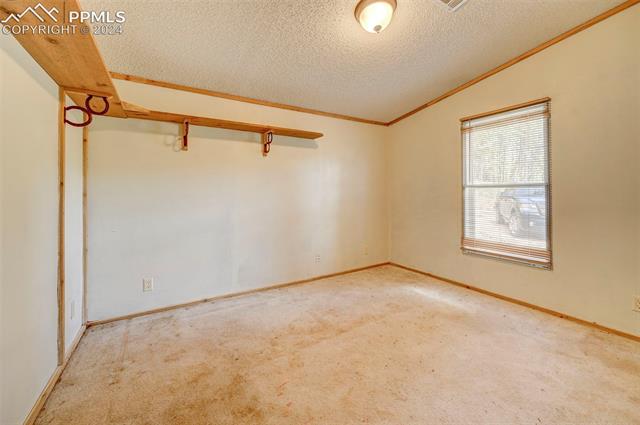 2259 Pathfinder Road Florissant, CO 80816 - Photo 10 of 33 Unfurnished room featuring a textured ceiling, lofted ceiling, and carpet