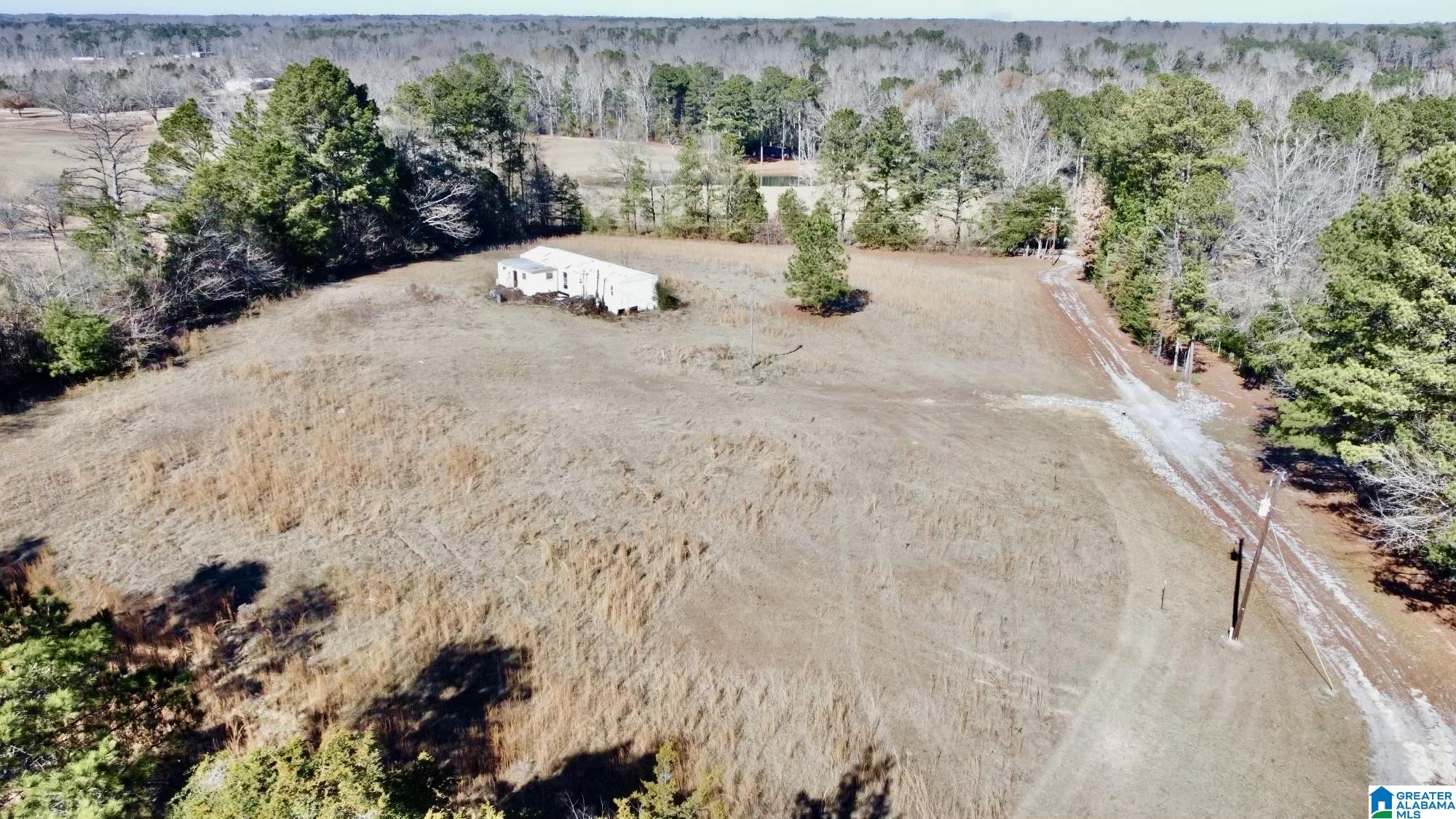 40 County Road 494 Verbena, AL 36091 - Photo 7 of 16