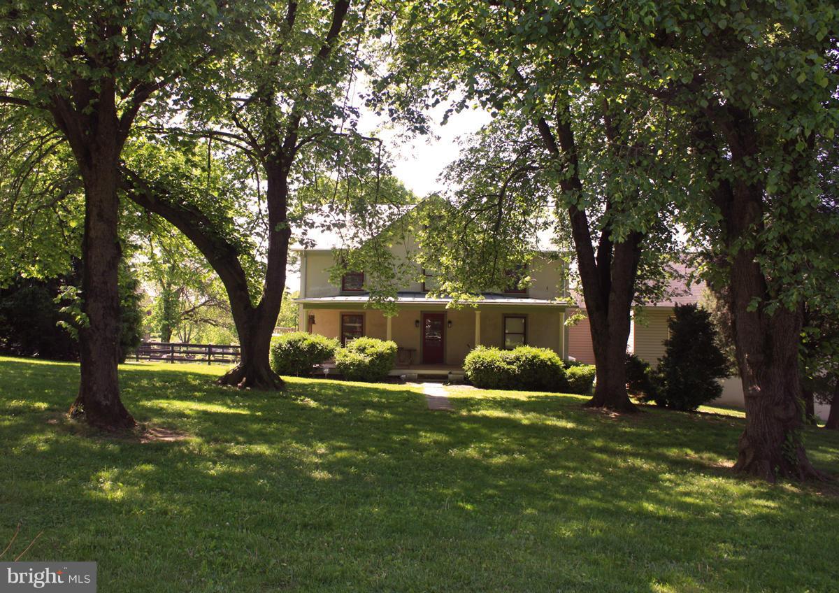 35267 Paxson Road Round Hill, VA 20141 - Photo 18 of 29 MATURE TREES
