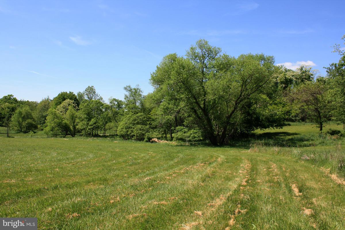 35267 Paxson Road Round Hill, VA 20141 - Photo 21 of 29 10 USABLE ACRES
