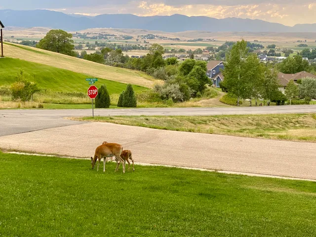 $754,900 | 1 Deer Haven Drive, Sheridan, WY 82801