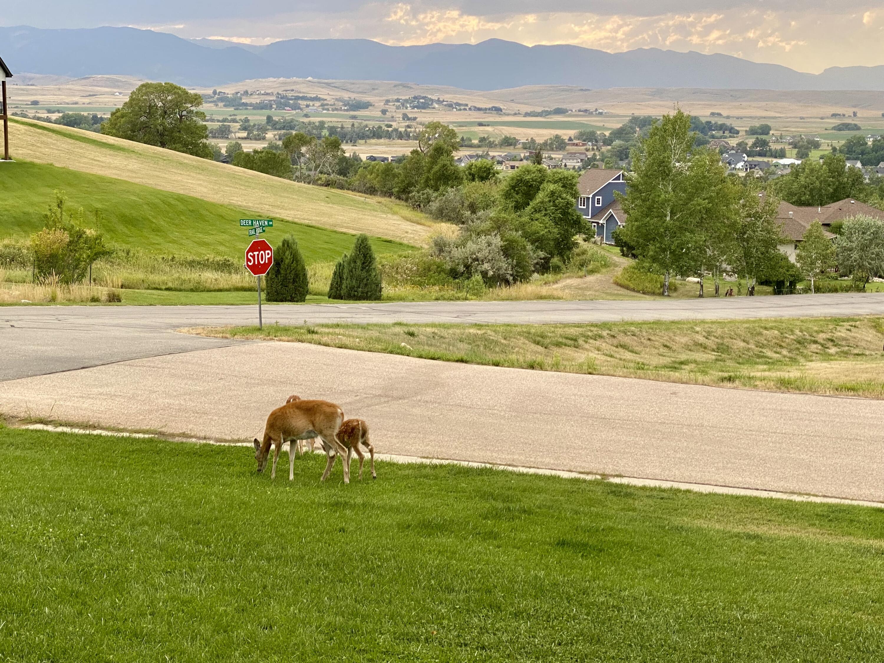 1 Deer Haven Drive Sheridan, WY 82801 - Photo 58 of 67 FullSizeRender2